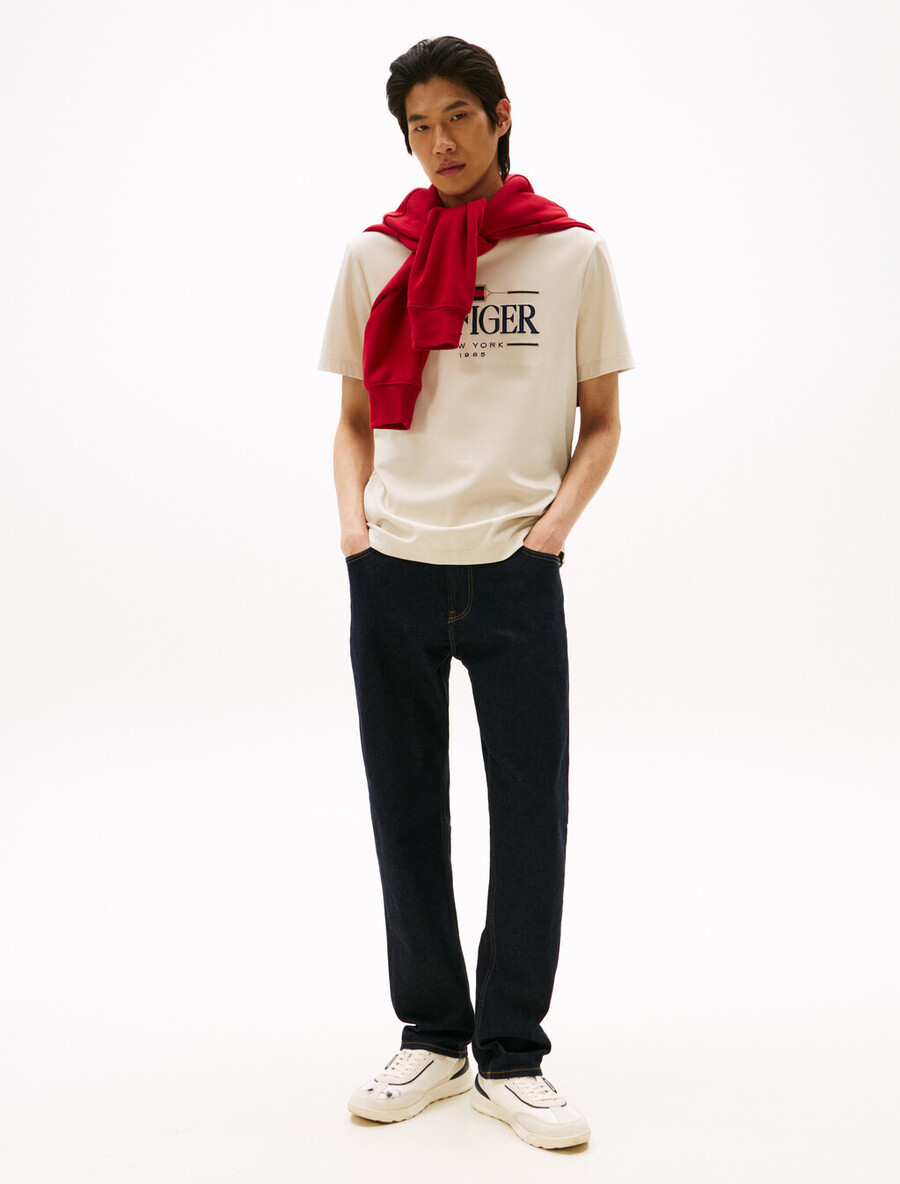 icon hilfiger t-shirt